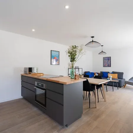 Ferienhaus La Maison Du Parc I Standing 3 8 Pers Parking Clim Wifi Velodrome *