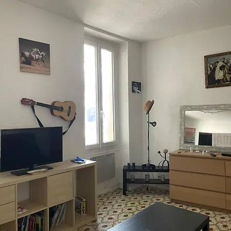 Confortable Au Centre De Apartment *