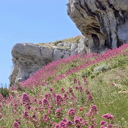 Bonneveine Ξενοδοχείο 3*