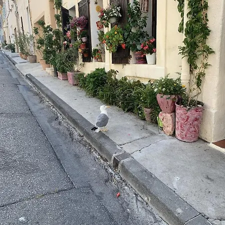 Apartment Atypique Cosy Entre Terre & Marseille