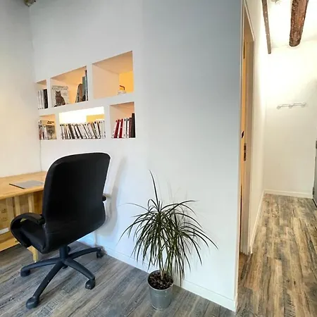 Le Grand Lovely Marseille Centre Wifi Netflix Apartment *