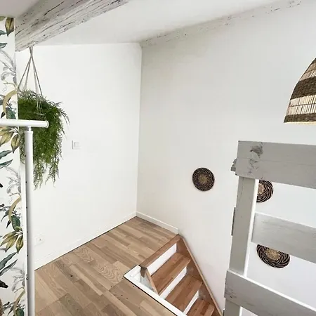 Le Jungle By Anderslocationterrassewifi-netflix Marseille