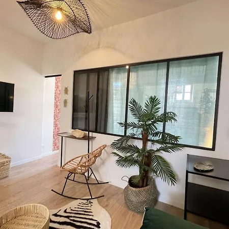 L'amazone Centre-ville Clim-wifi-netflix Apartment *