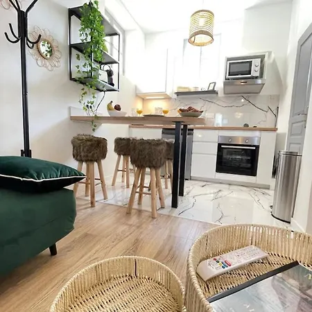 Apartment L'amazone Centre-ville Clim-wifi-netflix *