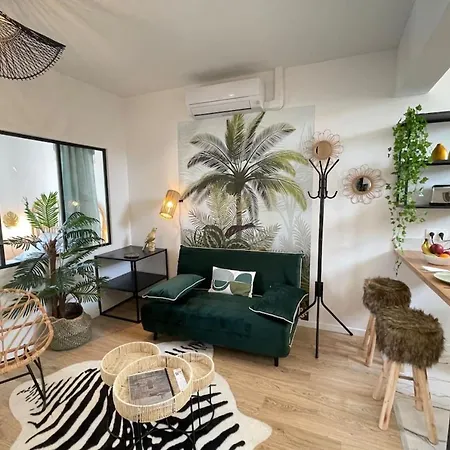 L'amazone Centre-ville Clim-wifi-netflix Apartment *