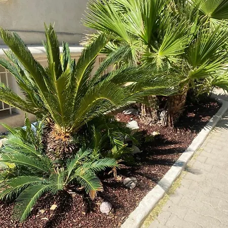 Casa Cacao Près Et Vélodrome