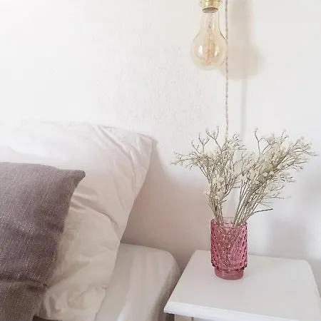 : Joli T2 Et Collines + Terrasse