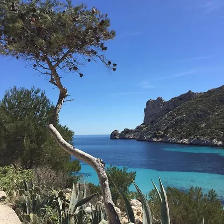 Le Panier De Blanche Appartement Marseilles