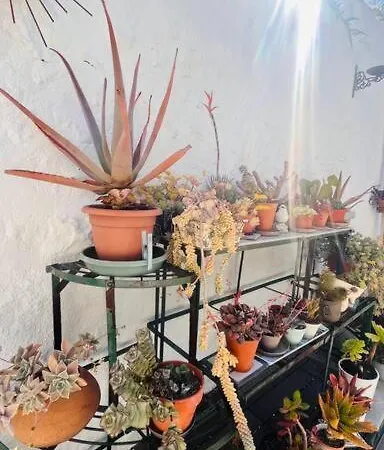 Le Jardin Du Roucas Apartment