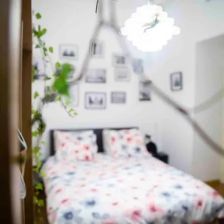 Homestay Fred's Guest Room, Vieuxport, Climatise, Friendly
