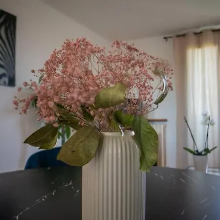 Apartment Fully Equipped With Parking 6 Beds