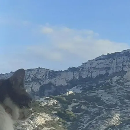 Maison Vue Magistrale Sur Le Port Et Calanques Des Goudes *