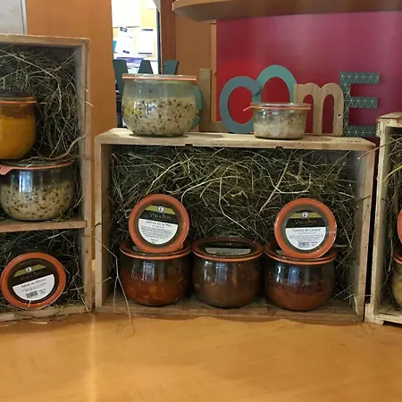酒店 宜必思马赛中心普拉多酒店