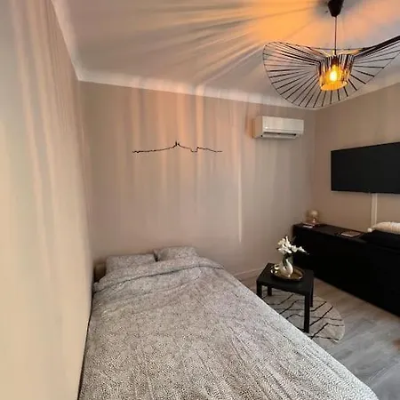 Appartamento T1 Climatise En Centre / Paradis *