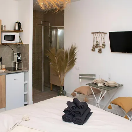 La Boheme Au Vieux-port Apartment *