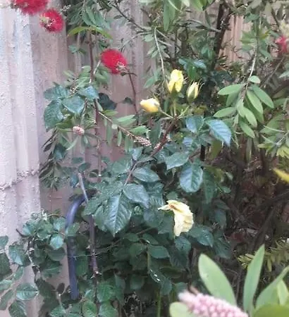 2p. Jardin Calme Centre-ville *