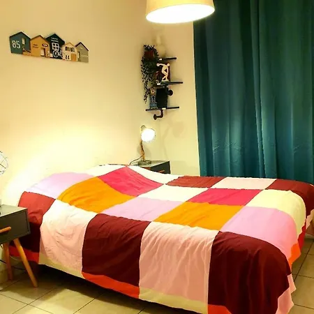 Jolie T3 Refait A Neuf A Appartement