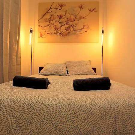 Atypique T3 Clim 80m2 Avec Patio Apartment