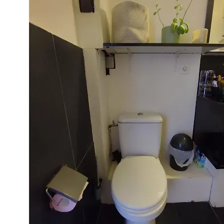 Sunny And Fully Furnished Duplex In Apartamento