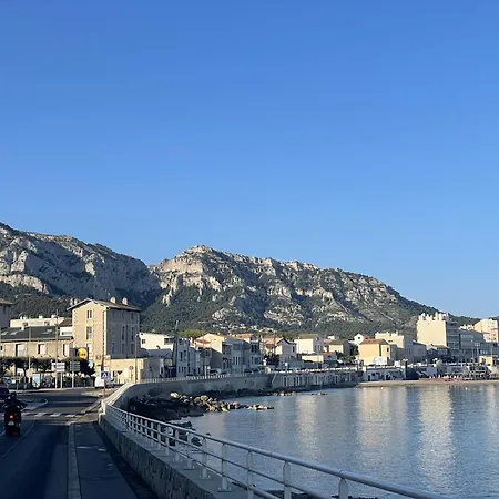 Balaena