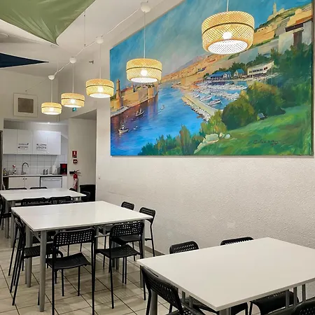 Auberge de jeunesse Balaena *