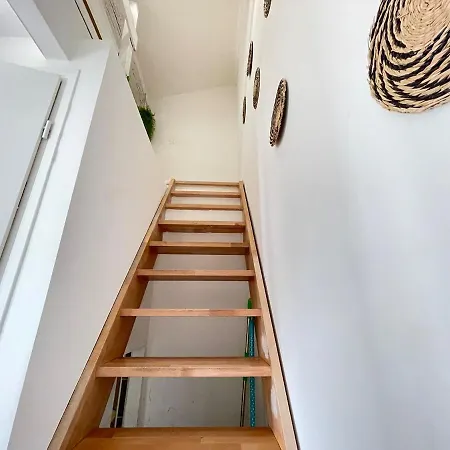 Secret Jungle Apartment