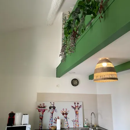 Apartment Secret Jungle Marseille