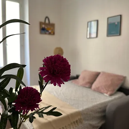 Cosy Refait A Neuf Homestay Marseille