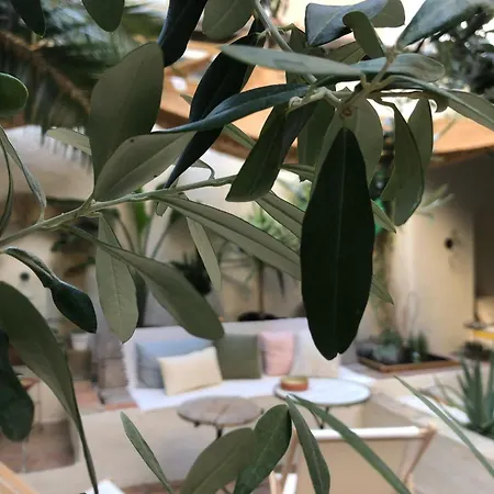 Maison Olea 马赛
