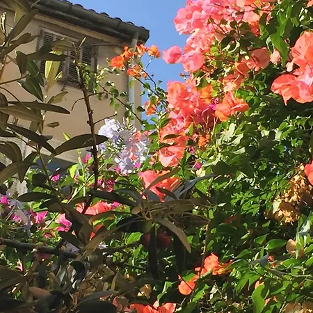 Maison Olea 马赛