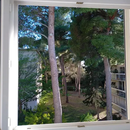 Apartment Entre Et Calanques Chez Steph Marseille