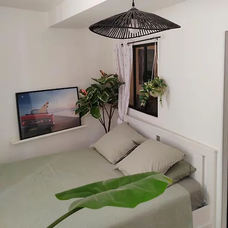 Cosy 40m2 Center 'le Panier' 公寓