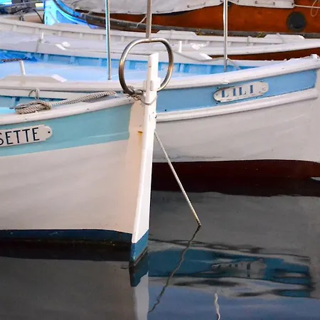 Les Mats Du Port