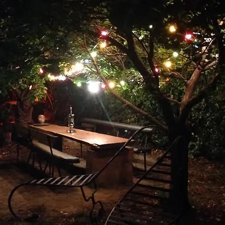 Vieux Port Panier Jardin