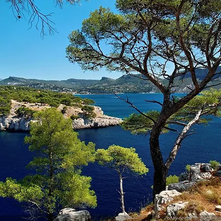Le Nid Marseillais - Vieux Port Appartamento
