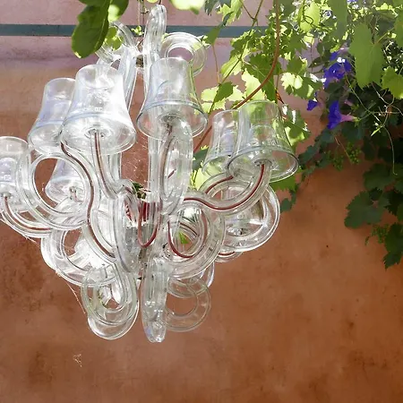 Guest house Vieux Port Panier Jardin *