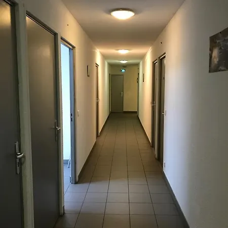 Auberge de jeunesse Balaena *