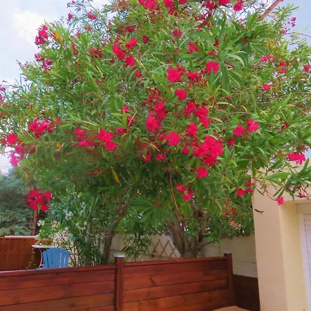 Holiday home Le Clos Des Collines Jacuzzi 3 Etoiles De France