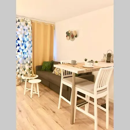 Studio Prado Perier Proche Des Plages Apartment