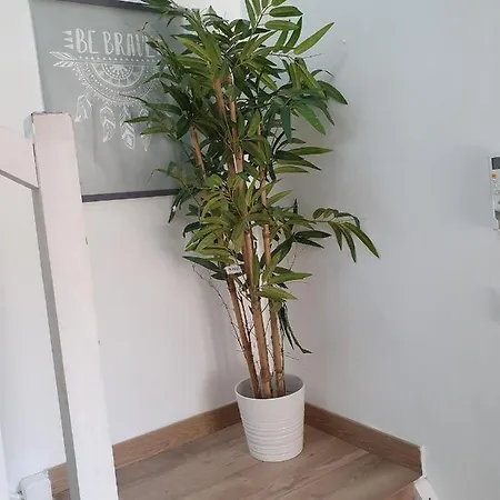 Lemon Tree - Vieux Port