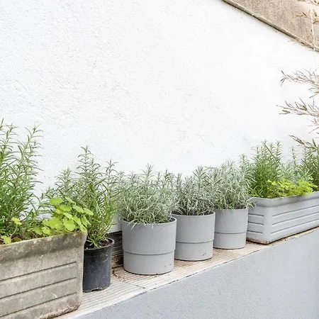 Apartment Blancarde Terrasse Parking Clim Marseille