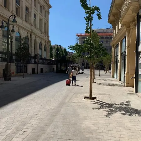 Historique Vieux Port