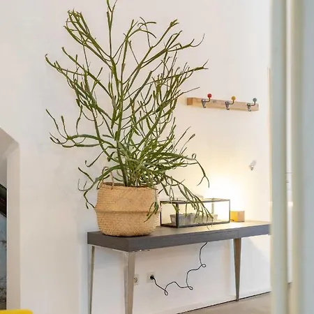 Chic Et Moderne *
