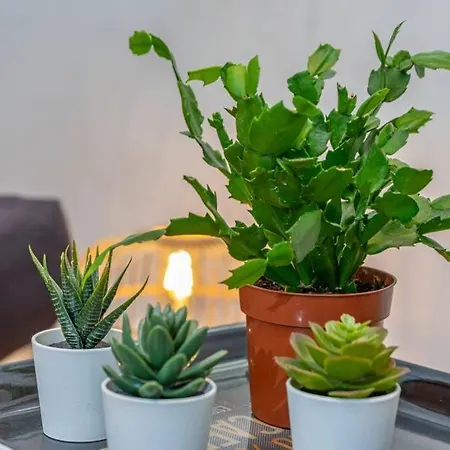 T2 Plage Catalans-vieux Port Apartment Marseille