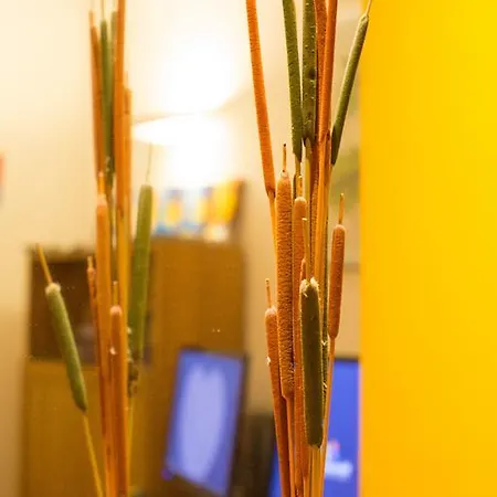 欧洲酒店 2*