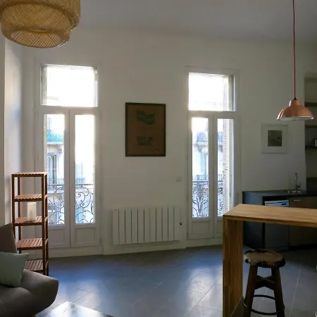 Joli T2 En Hypercentre De Apartment