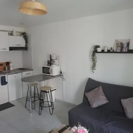 Studio Tout Equipe En Plein Coeur De Apartment
