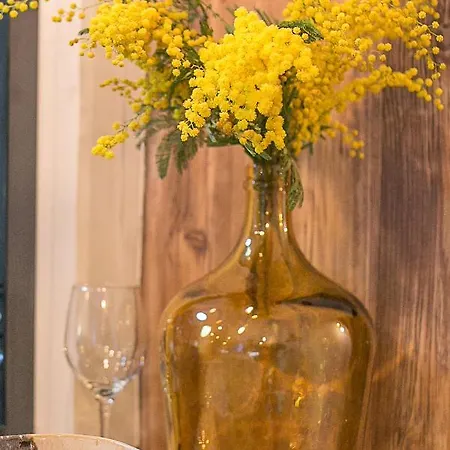 Gmimosa Séjournez Dans Un Esprit Boutique Appartement