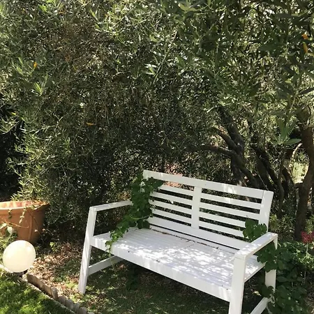 D Hotes Au Coeur Des Oliviers Homestay *