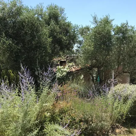 D Hotes Au Coeur Des Oliviers Homestay Marseille